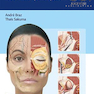 دانلود کتاب Dermal Fillers: Facial Anatomy and Injection Techniques2020