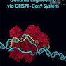 دانلود کتاب Genome Engineering via CRISPR-Cas9 System 2020  1st Edition مهندسی ژ ... 