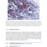 دانلود کتاب The Bethesda System for Reporting Cervical Cytology, 3rd Edition 201 ... 