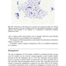 دانلود کتاب The Bethesda System for Reporting Thyroid Cytopathology, 2nd Edition ... 