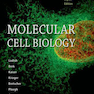 دانلود کتاب زیست سلولی و مولکولی لودیش 2016 Molecular Cell Biology