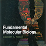 دانلود کتاب Fundamental Molecular Biology, 1st Edition2007