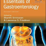 دانلود کتاب Sitaraman and Friedman’s Essentials of Gastroenterology 2nd Edition2 ... 