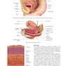 دانلود کتاب DC Dutta’s Textbook of Gynecology, 8th Edition2020