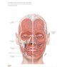 دانلود کتاب PRF in Facial EstheticsPRF