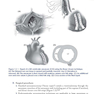 دانلود کتاب Manual of Perioperative Care in Adult Cardiac Surgery