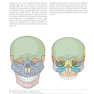 دانلود کتاب Principles of Internal Fixation of the Craniomaxillofacial Skeleton  ... 