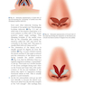 دانلود کتاب Textbook of Nasal Tip Rhinoplasty : Open Surgical Techniques