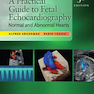 دانلود کتاب A Practical Guide to Fetal Echocardiography: Normal and Abnormal Hea ... 