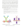 دانلود کتاب USMLE Step 1 Lecture Notes 2022: Immunology and Microbiology