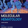 دانلود کتاب Molecular Hematology2019