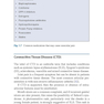 دانلود کتاب Rheumatology for Primary Care Providers : A Clinical Casebook