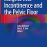 دانلود کتاب Insights Into Incontinence and the Pelvic Floor