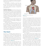 دانلود کتاب Invasive Cardiology: A Manual for Cath Lab Personnel 2023