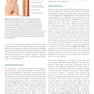 دانلود کتاب Atlas of Abdominoplasty